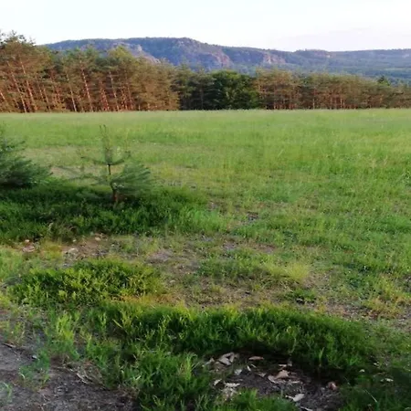 Lejlighed Mit Teich In Lichtenhain (Sebnitz)
