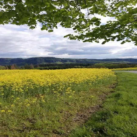 Apartment Roomy In With Pond *