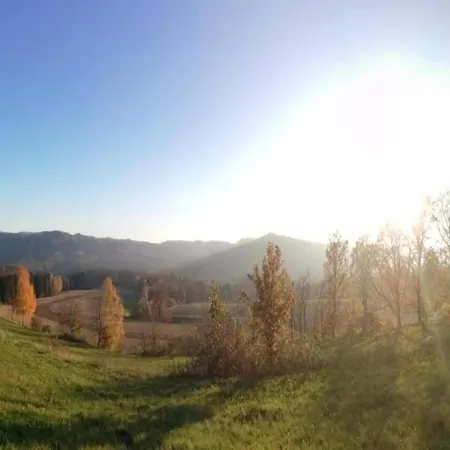 Roomy In With Pond *